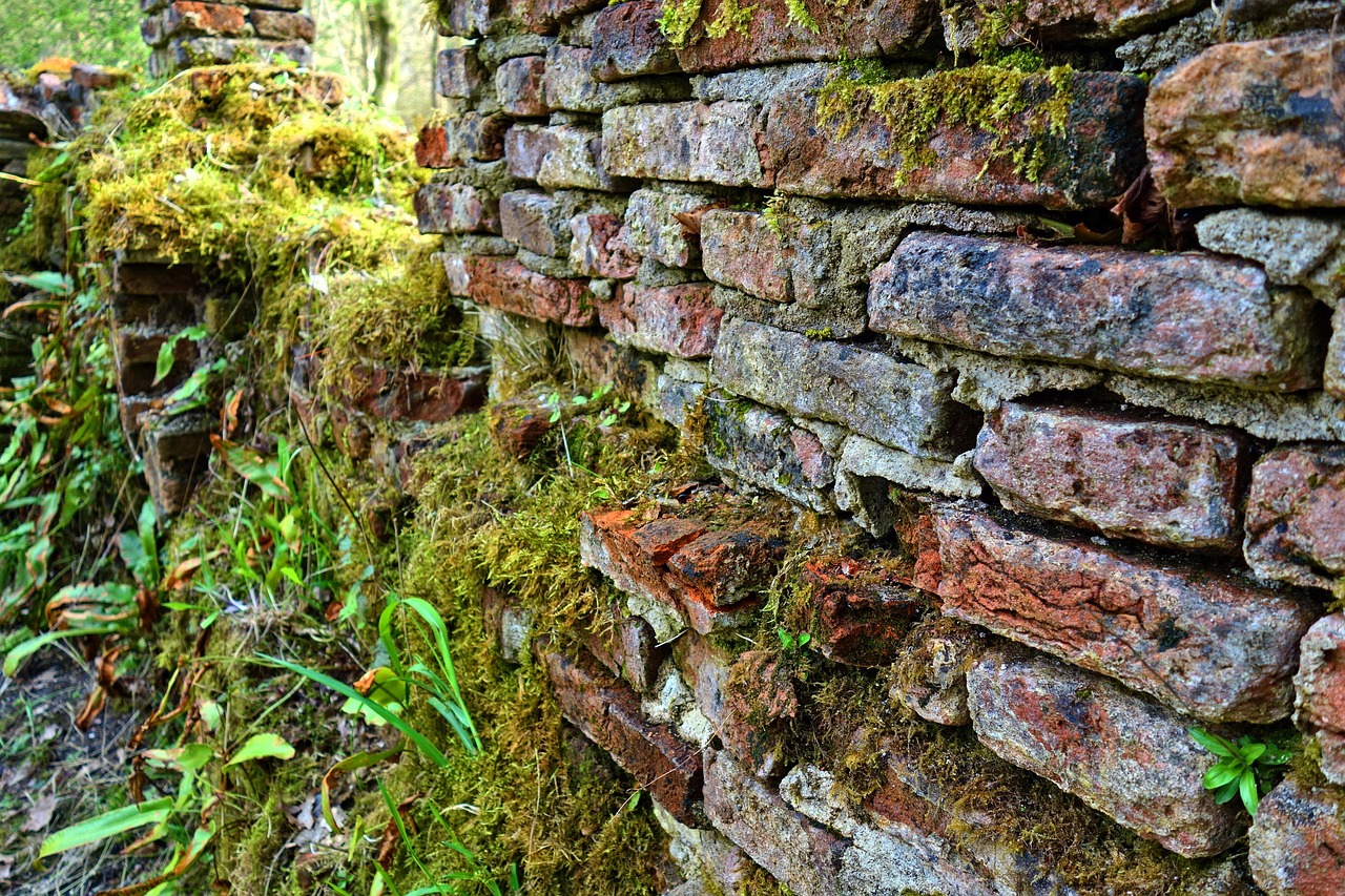 Detail van levendige groentinten op moswand.
