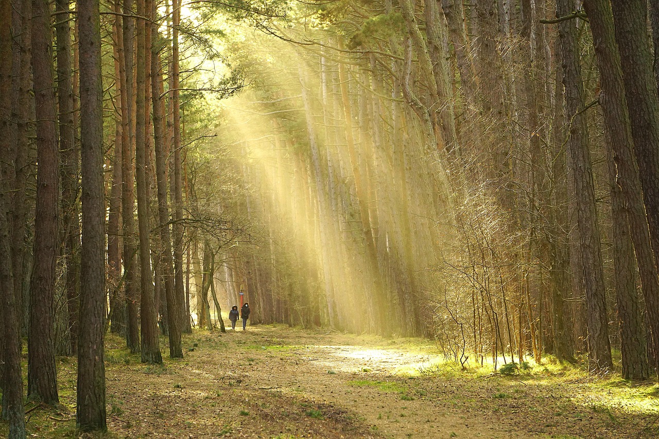 Verlichting in vernieuwde inloopkast ontspanningsruimte. Verlichting in vernieuwde inloopkast ontspanningsruimte.